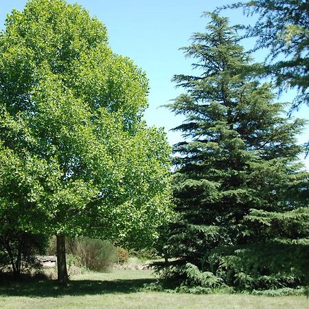 Laragh-On-Hogsback Villa Bagian luar foto