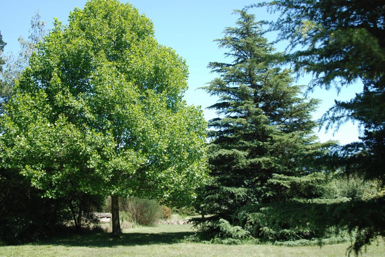 Laragh-On-Hogsback Villa Bagian luar foto