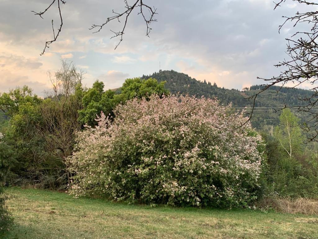 Laragh-On-Hogsback Villa Bagian luar foto